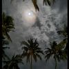 yathribaloomr