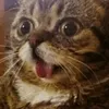fredfnpliln