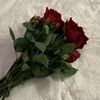 um_suhib2024