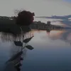 pidorek.1