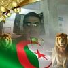radouane.bahiri