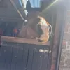 ilovemyponyrocky_2