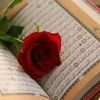 shrouk.samy27