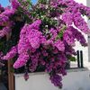 hatice97003
