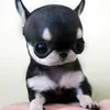 nanadeadplatedasilva