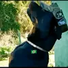 gustavo.da.costta
