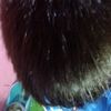 allnew1053
