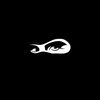falll_falll_