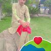 wajahat.khan353
