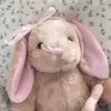 xyz.dilaaa_