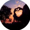 luvv_faz