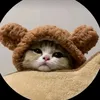 yeunhieuhontheco75