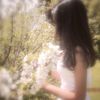 itss_butterfly1232