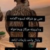 user7509987970388