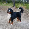 gretelita.tango