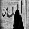 muhamplx69e