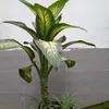vn.bin867