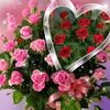 user8146167611381