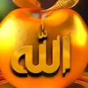 saidsulaiman665