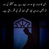 mughalzaadi951