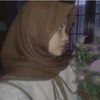 hanzqn_31