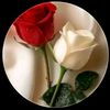 shaazadkhan97