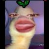 tiarabtr