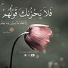 user29176066181812
