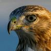 user2222muhammadariz