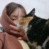 tatileivappp