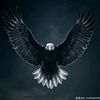 user8716107293432