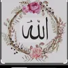 mounya.elmehdi