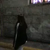 jvlatt