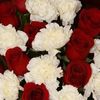 crispina.flores.h