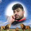 nader.saljuqi