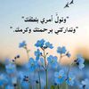 .shahoda98