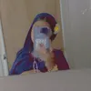 arianaxm1
