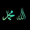 saifee836
