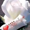 user6501594934331