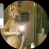 leo655481