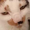 radko.hry
