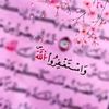 user1931296652113
