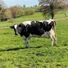 nathan.l.agri