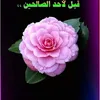 user196262196183