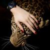 soka_abdoo