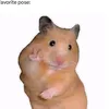 bennybruh