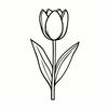 tulipshodown