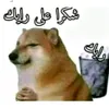 ali.joyboy