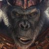 proximus.caesar2