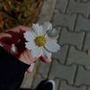 maryamaa730